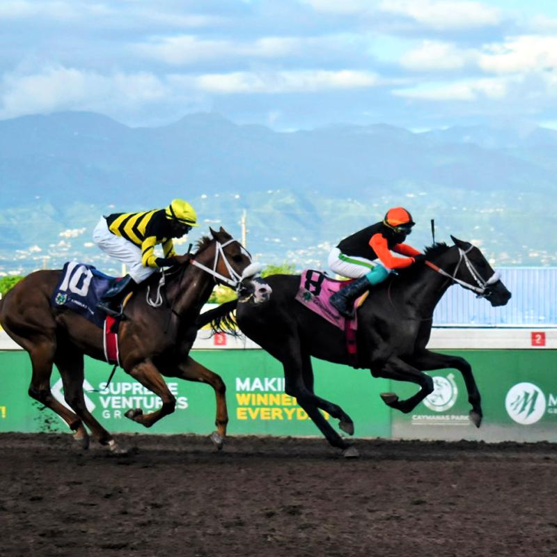 Salute the Don benefits from tag-team riding to claim Kingston
