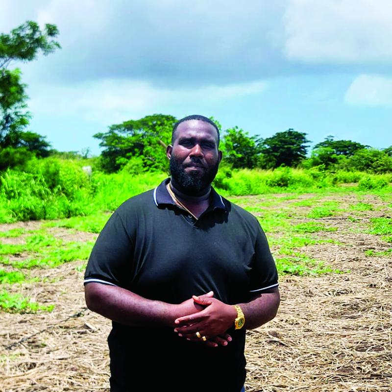 Growing more than crops - Jamaican fathers in agriculture shaping families’ future