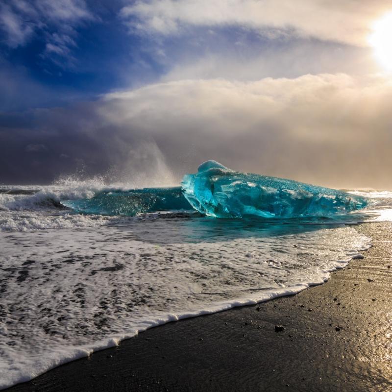 Ocean surface temperatures hit record high | News