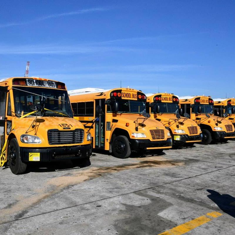 Auditor General launches school bus probe