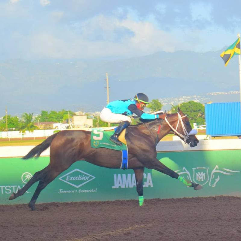 Florindia new barn provides ominous second wind