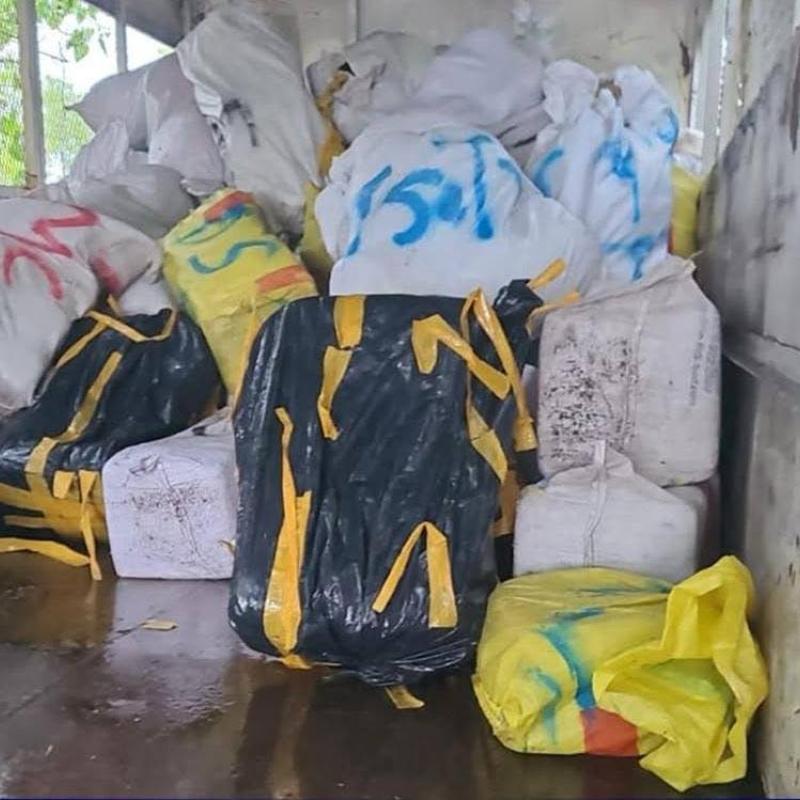 Major ganja bust in Hellshire