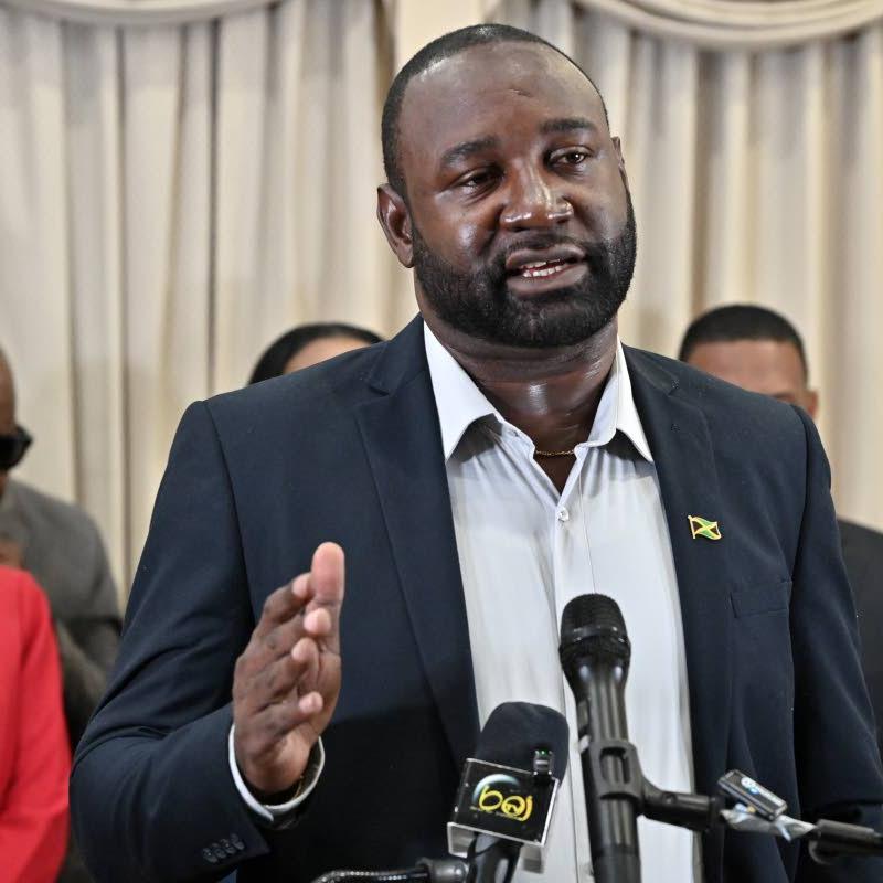 PNP MPs in Westmoreland and Hanover want Melissa electricity, shelter issues addressed