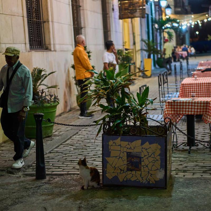 Energy blockade pulls plug on Havana’s legendary nightlife