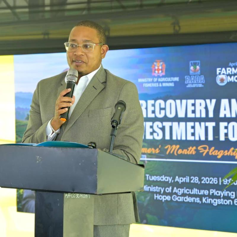 Gov’t targets yam recovery with $100m investment