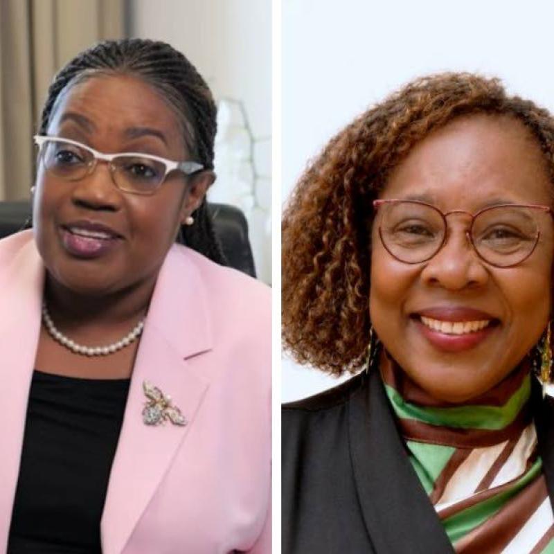 Rose-Howell set to take charge of Jamaica’s Miami Consulate, Johnson-Green named honourary consul for Birmingham | News