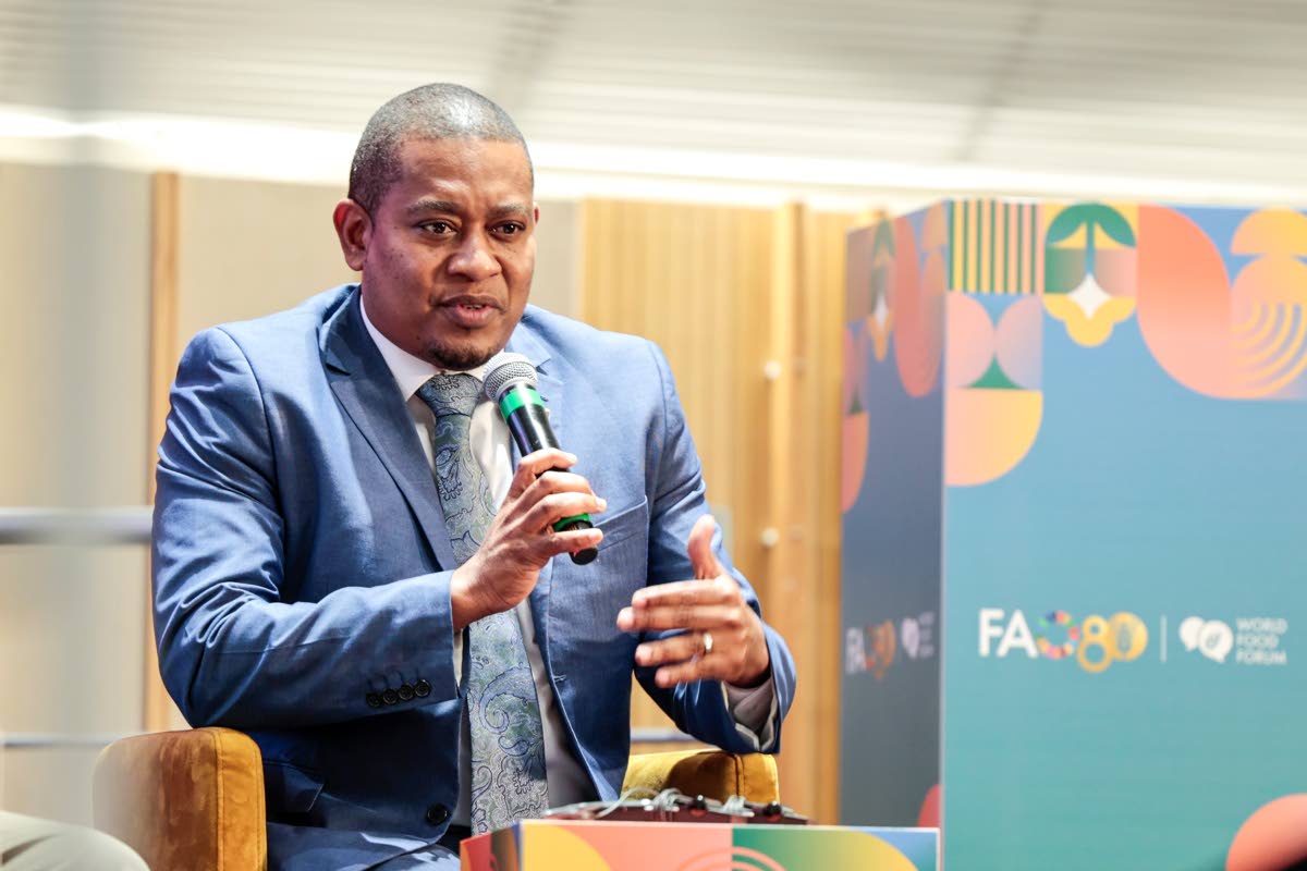 Minister of Agriculture, Fisheries and Mining Floyd Green makes a contribution during the Hand-in-Hand Investment Forum 2025, a flagship event of the World Food Forum (WFF) hosted by FAO in Rome, Italy last week.