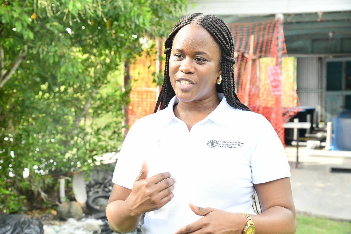 Assistant United Nations Food and Agriculture Organization Representative for Jamaica, The Bahamas and Belize, Roslyn Jackson-Richards