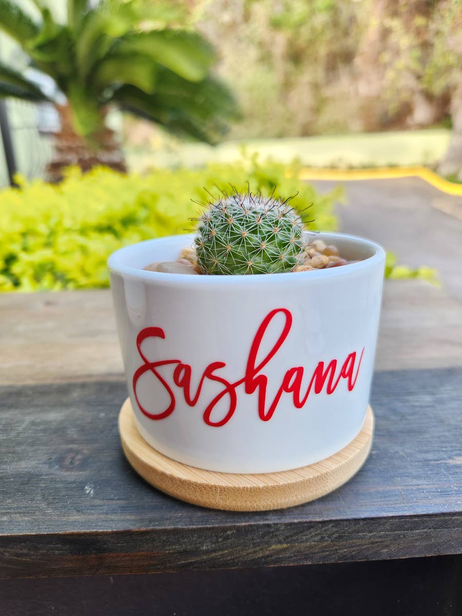 Pots from Cacti Corner Jamaica can be customised for any occasion.
