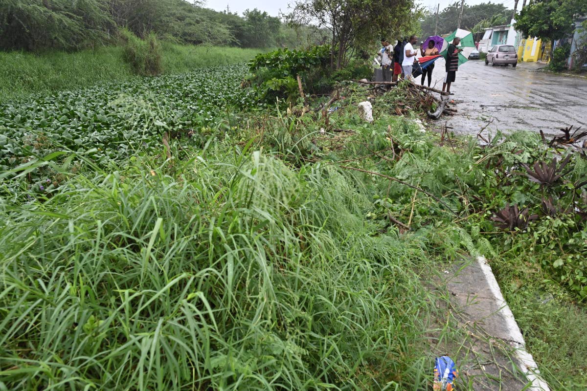 In Waterford on Monday, dozens of residents took to the streets to protest what they said was decades of neglect of the Adair Drive gully.
