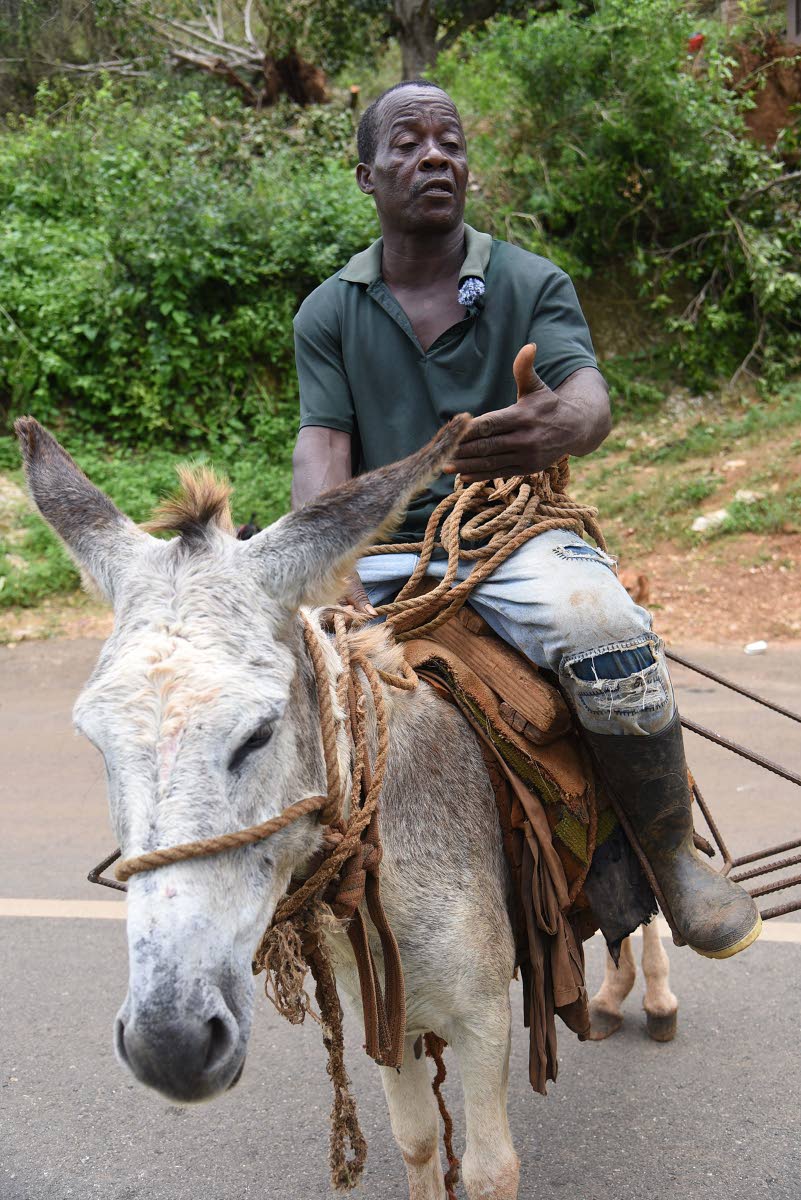 Michael Blake, a yam farmer from Mahagony Hall, Trelawny, says food will be scarce in the coming months as the country recovers from the devastation of Hurricane Melissa.