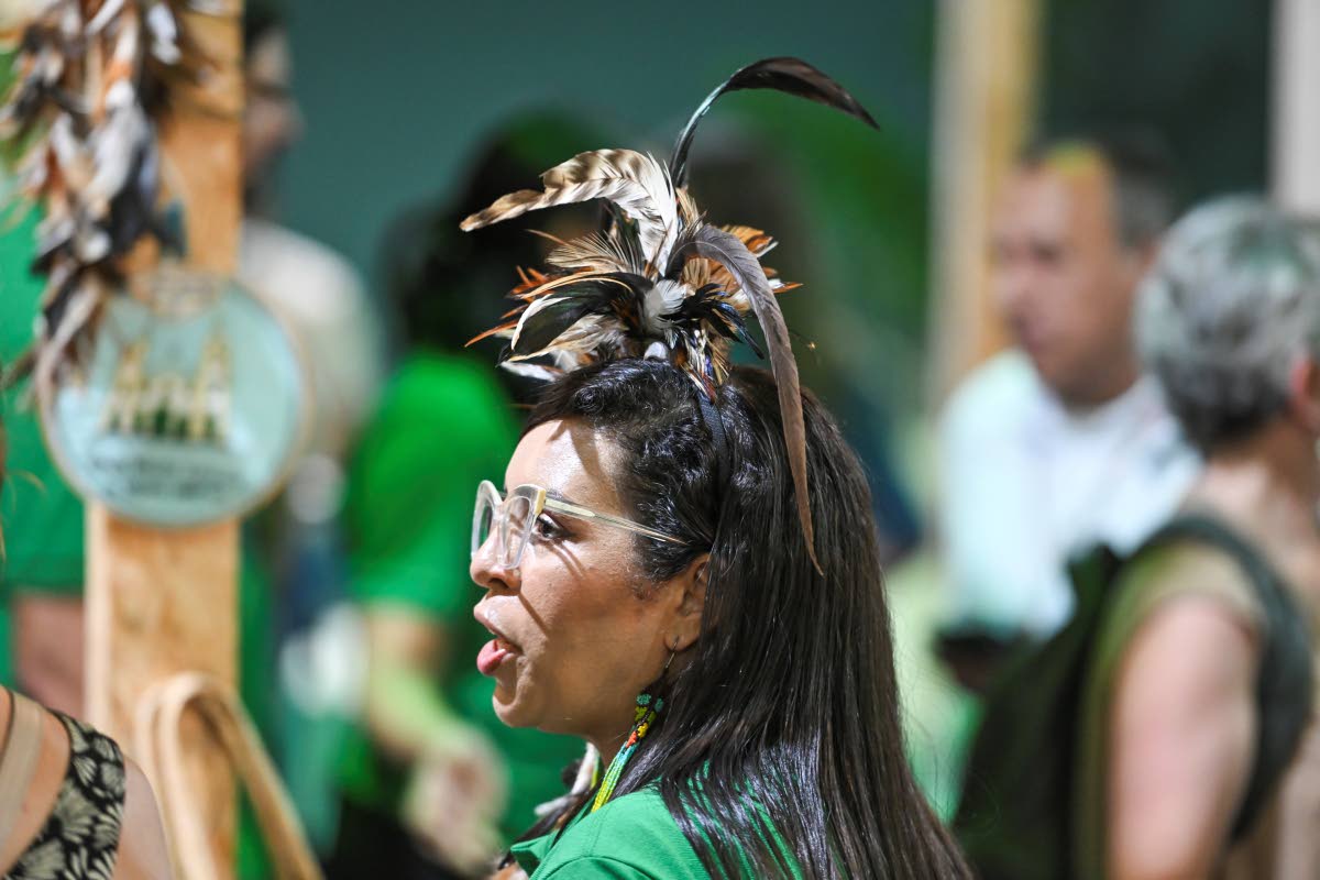 A participant at the Green Zone during the 30th Conference of the Parties (COP30).