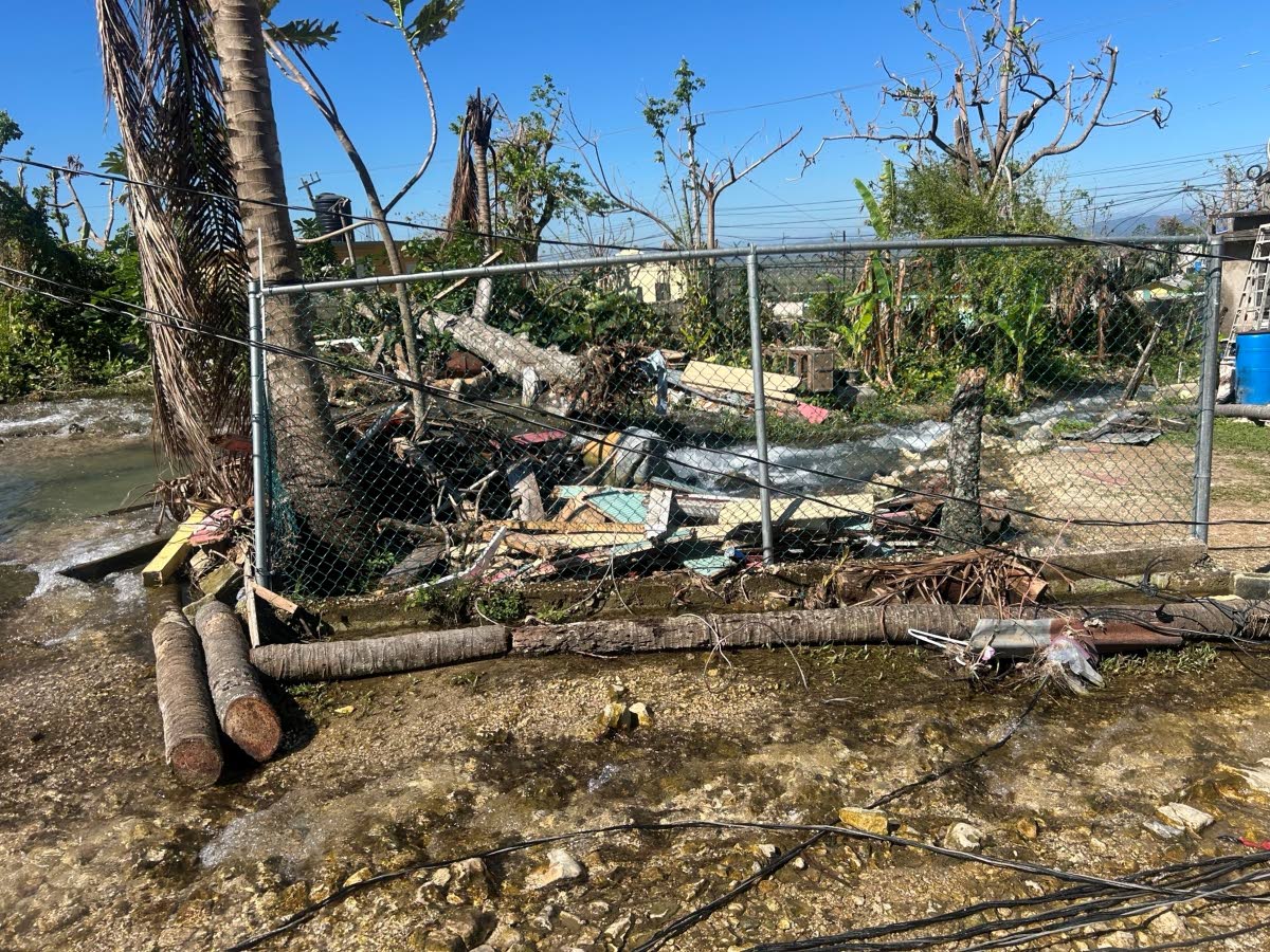 The Ancho River rushing downstream. A compromised pit latrine can be seen on the riverbank, along with debris.