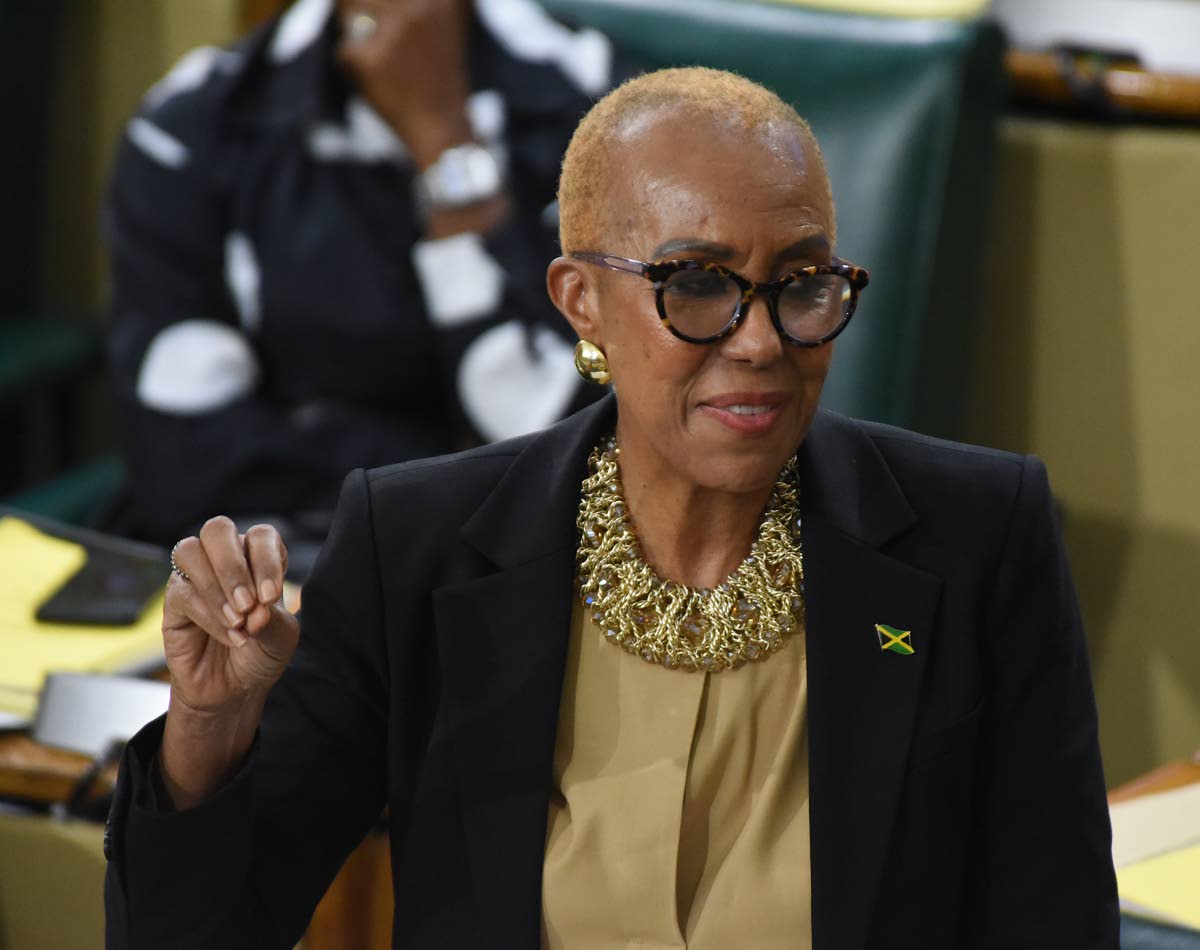 Minister of Finance and the Public Service, Fayval Williams, speaking in the House of Representatives on December 2, 2025.