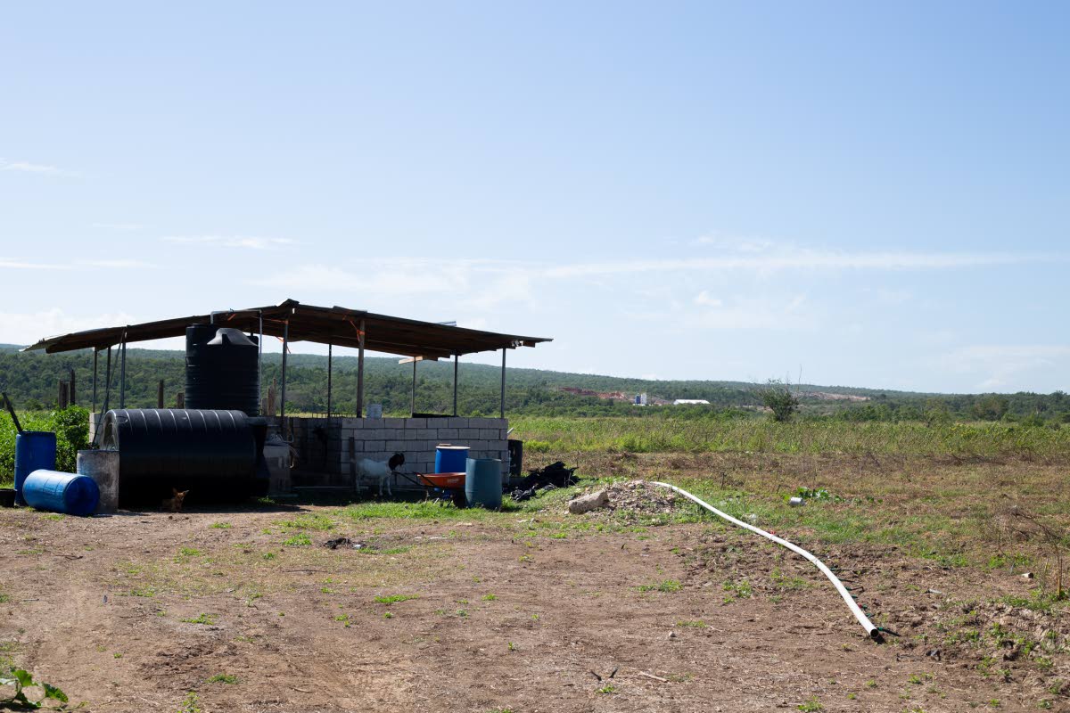 A pen housing what’s left of the livestock after Hurricane Melissa at LD Promise Farm.