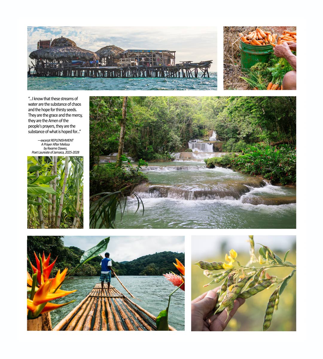 Inside the calendar with aompanied by excerpts from “Replenishment, A Prayer After Melissa” by Kwame Dawes.