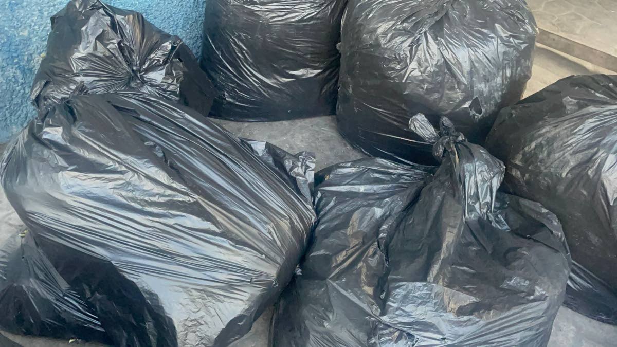 Bags of ganja seized by the police in Clarendon during an operation in the community of Palmetto Pen on January 13.