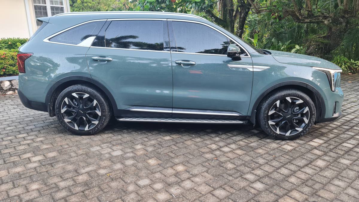Profile view emphasising the angular body sculpting and the functional side stepping rails fitted to this premium trim level. 