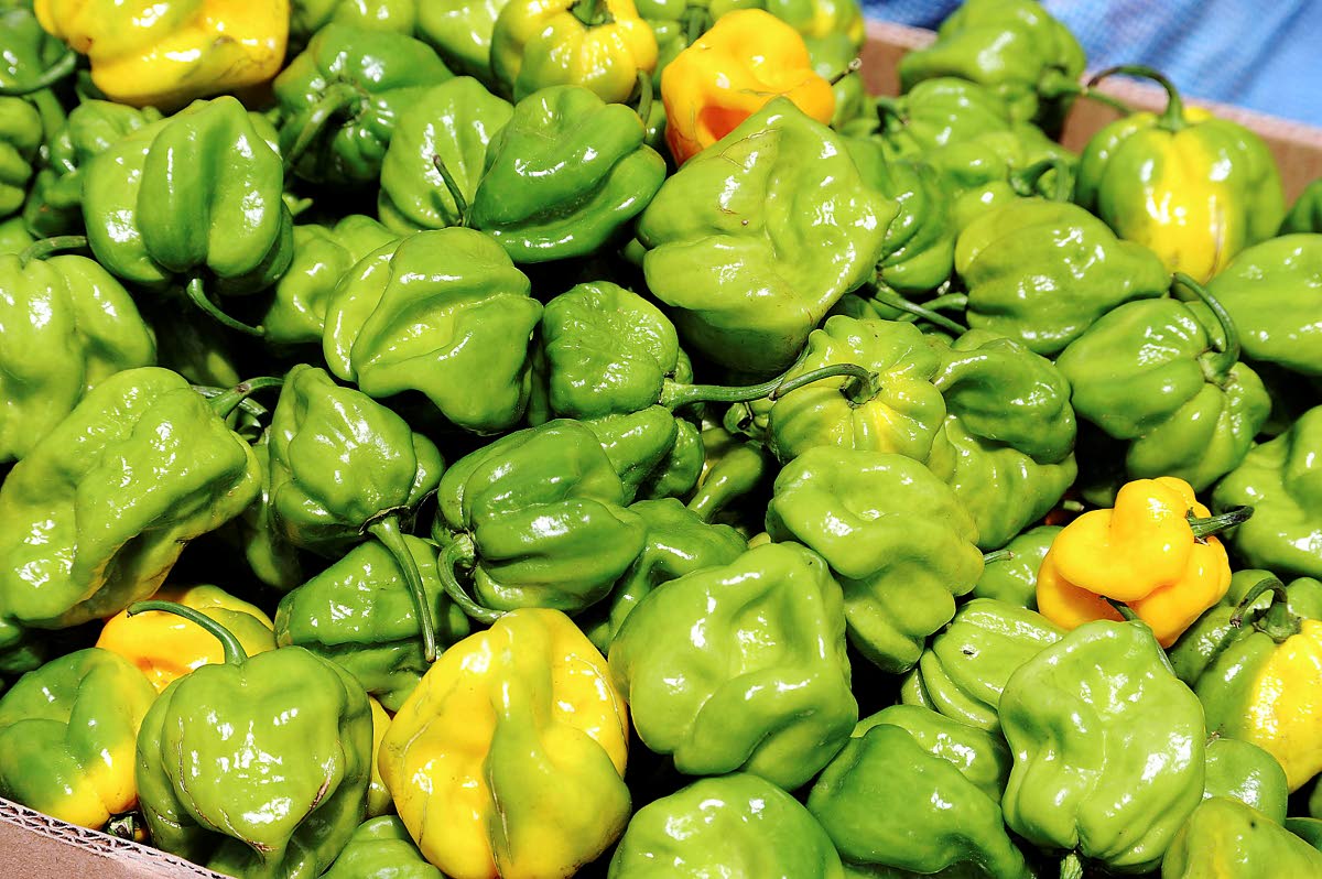 Scotch bonnet peppers.