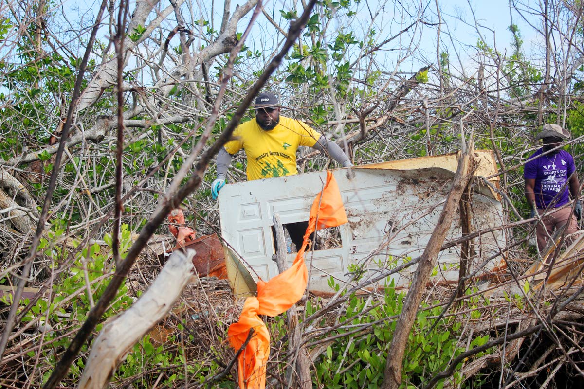 Here, Kamal Thompson, forest technician at the Forestry Department, removes a door  that was displaced during Hurricane Melissa in October 2025 from a section of the mangrove forest in Parottee, St Elizabeth.