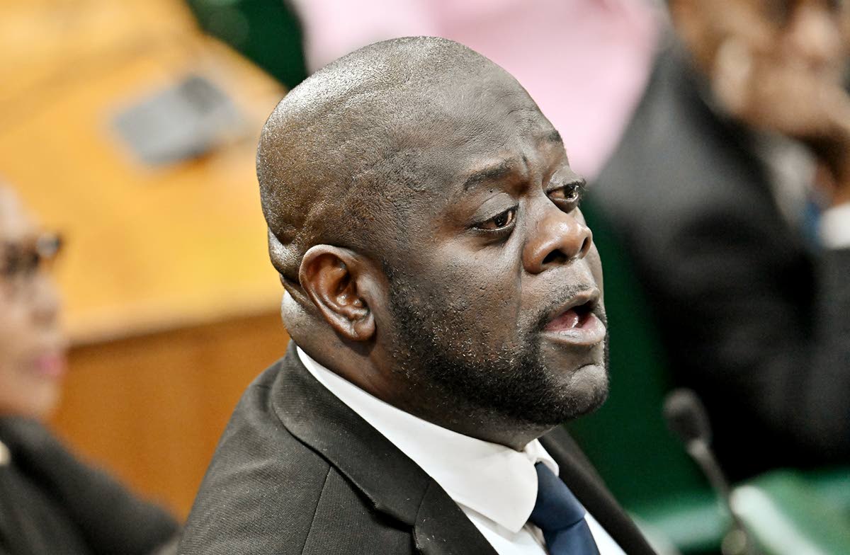 Member of Parliament for South East St Mary, Christopher Brown