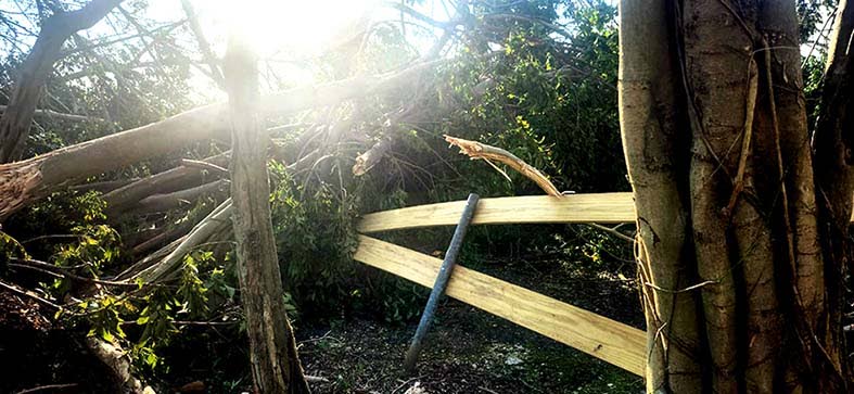 Hurricane damage at Jamaica Zoo. 