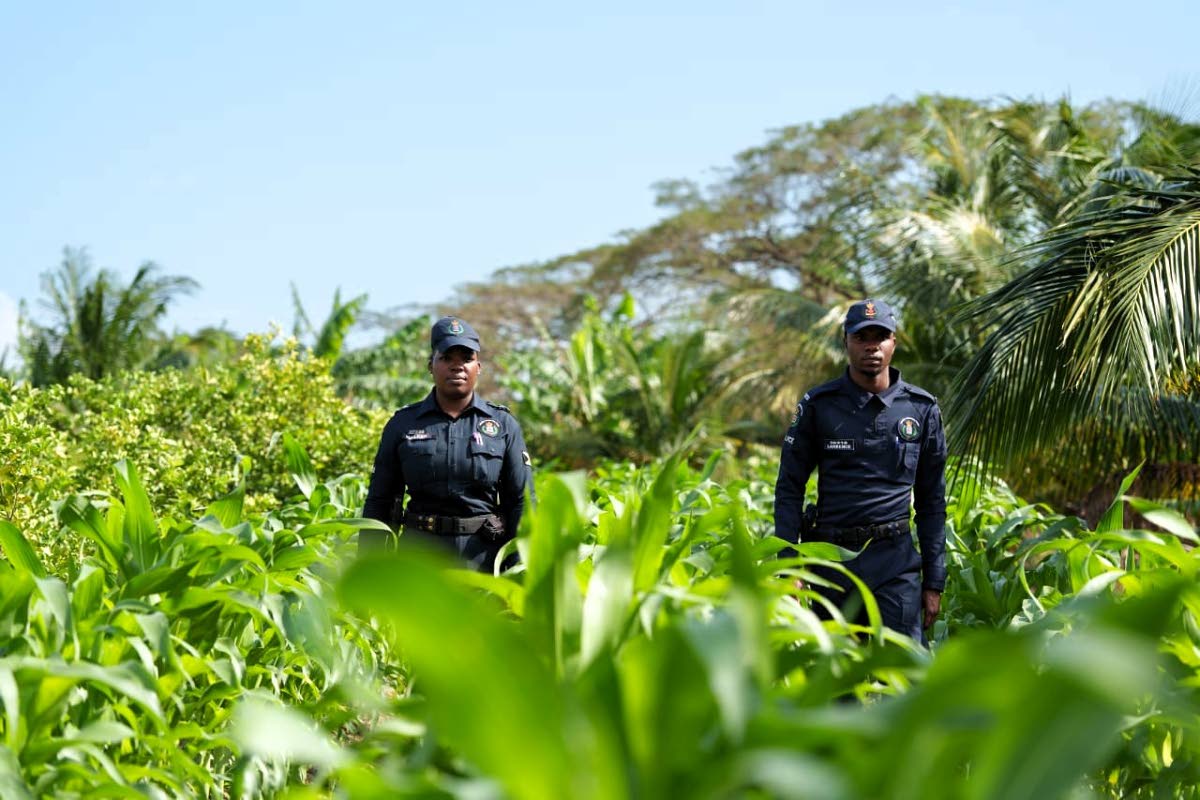 Corporal Shernett Walker (left) and Constable Gavonn Lawerence from Jamaica Constabulary Force’s Agricultural Protection Branch (APB) on a patrol at a farm in Hill Run, St Catherine.