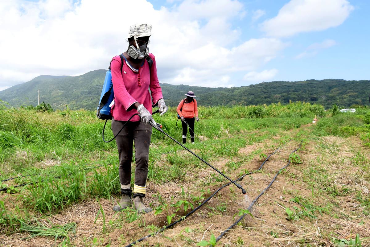 Women, old and young, have long been championed as essential to overcoming the world’s environmental woes. 