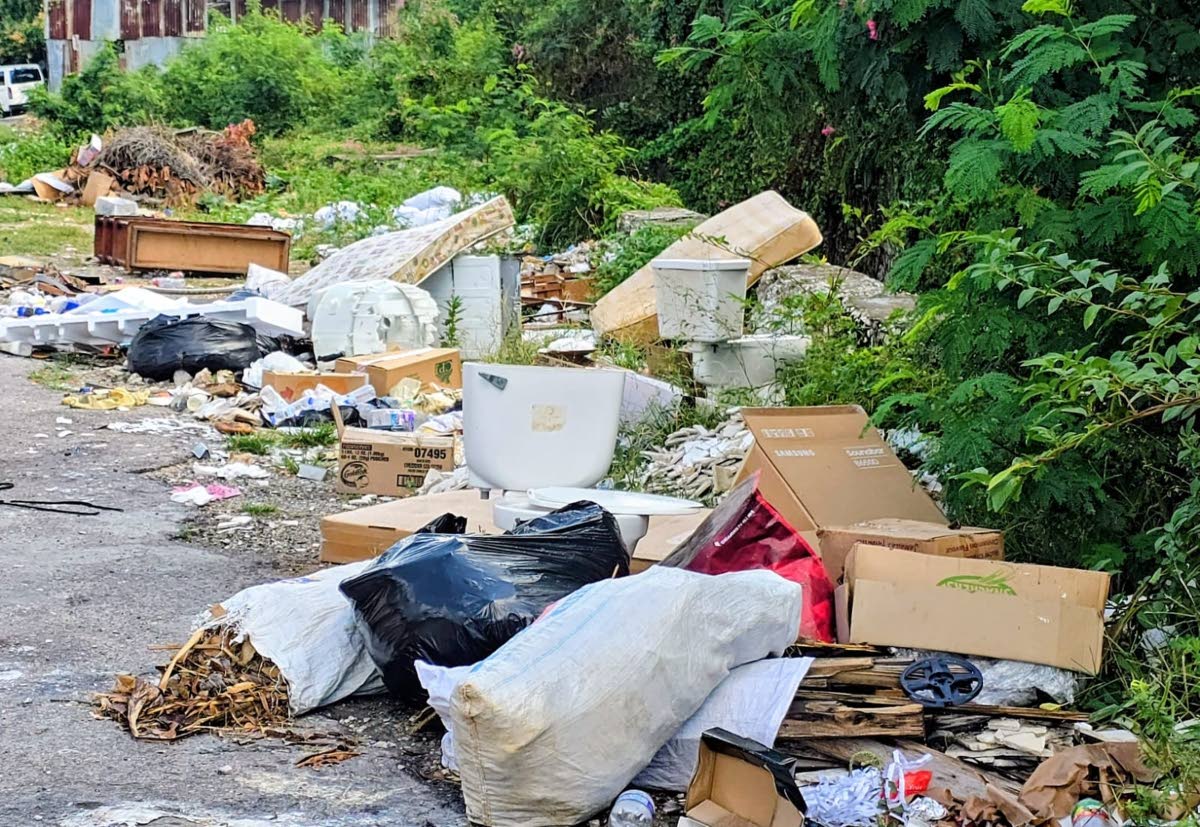 Garbage pileup in the vicinity of Waltham Park Road.