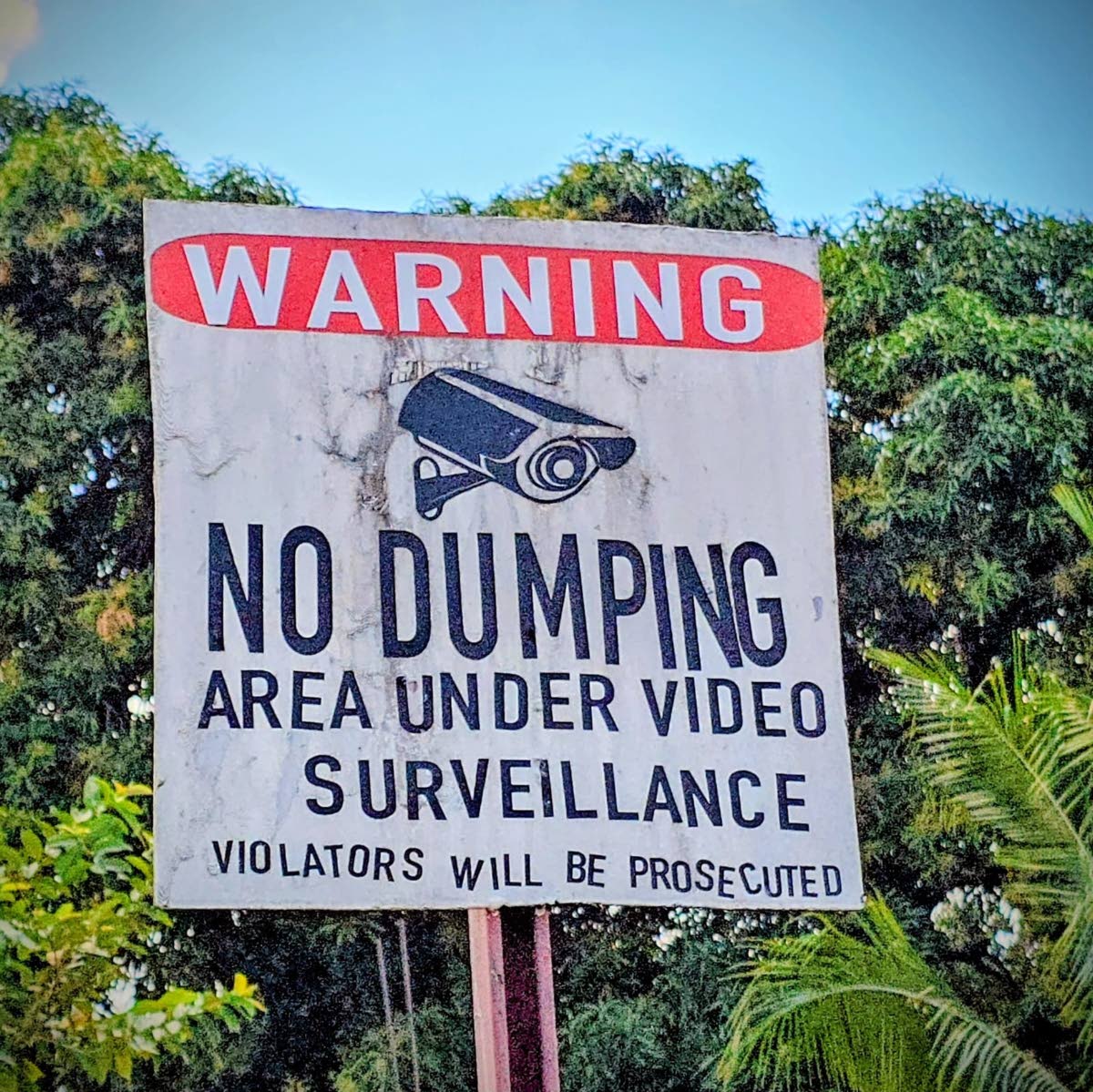 A no dumping sign in the vicinity of Hughenden Avenue and Waltham Park Road. 