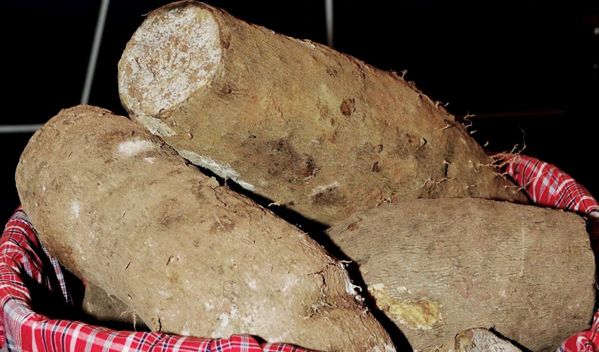A display of Trelawny yellow yam.