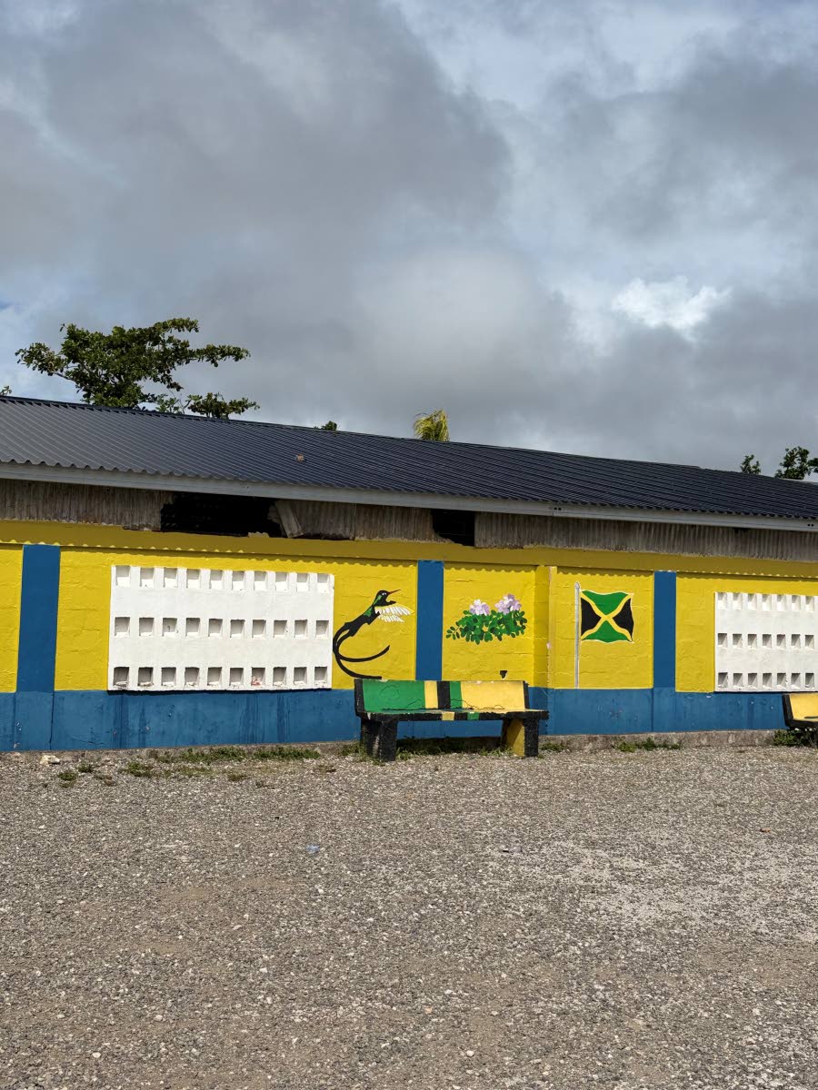 Roofing works are now well advanced at Albert Town Primary School.