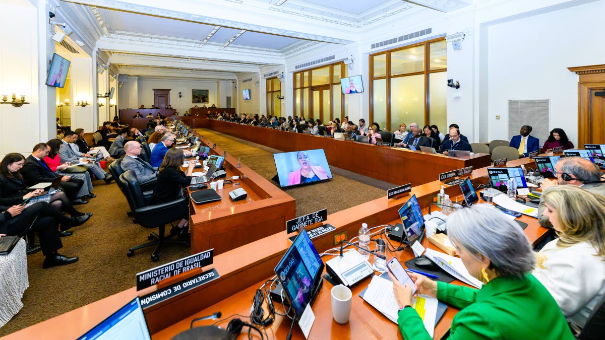 Special Meeting of the OAS Permanent Council held on March 25, in Washington, DC