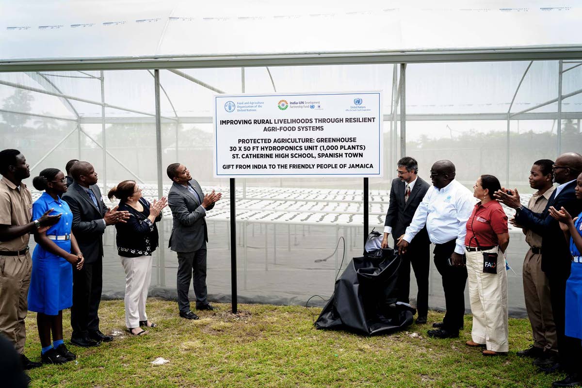 Minister of Agriculture, Fisheries and Mining, Floyd Green, unveils greenhouse signage at St Catherine High School, joined by (from left) Marlon Campbell, principal of St Catherine High School; FAO Representative Dr Ana Touza; United Nations Resident Coord
