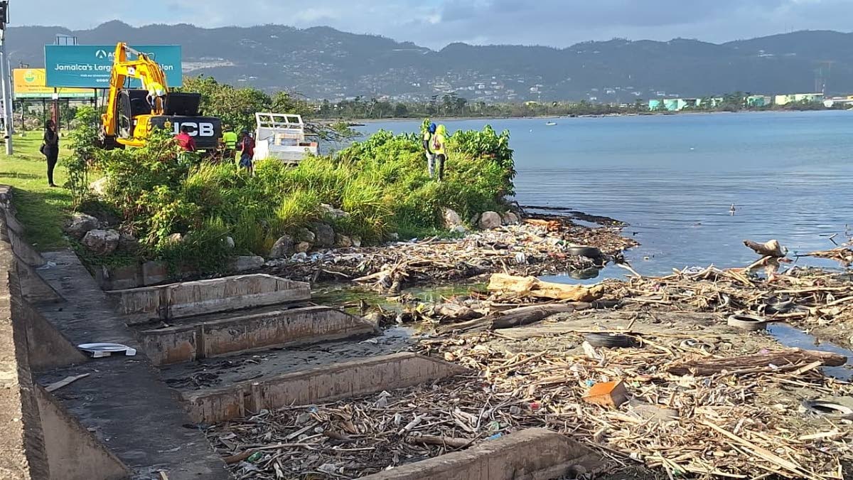The South Gully meets the Caribbean – Montego Bay’s waterfront gateway to sea and sky.