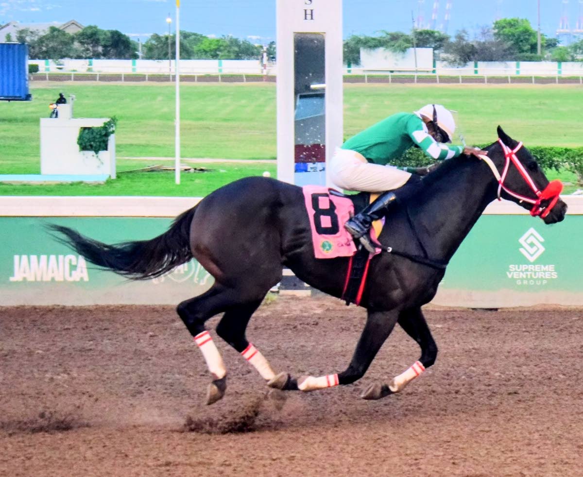 DON KWESI, ridden by Demar Williams, wins the Linval McFarlane Trophy over six-and-a-half  furlongs at Caymanas Park.