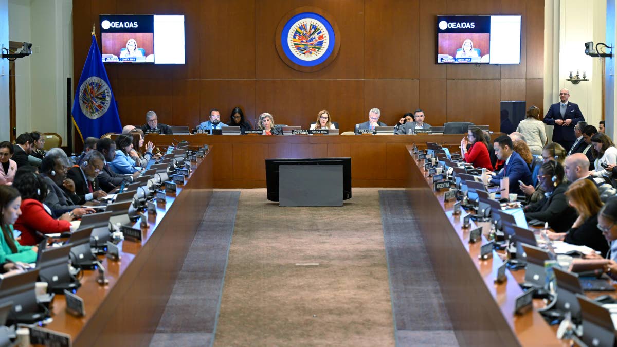 Regular meeting of the Permanent Council of the OAS in Washington, DC.