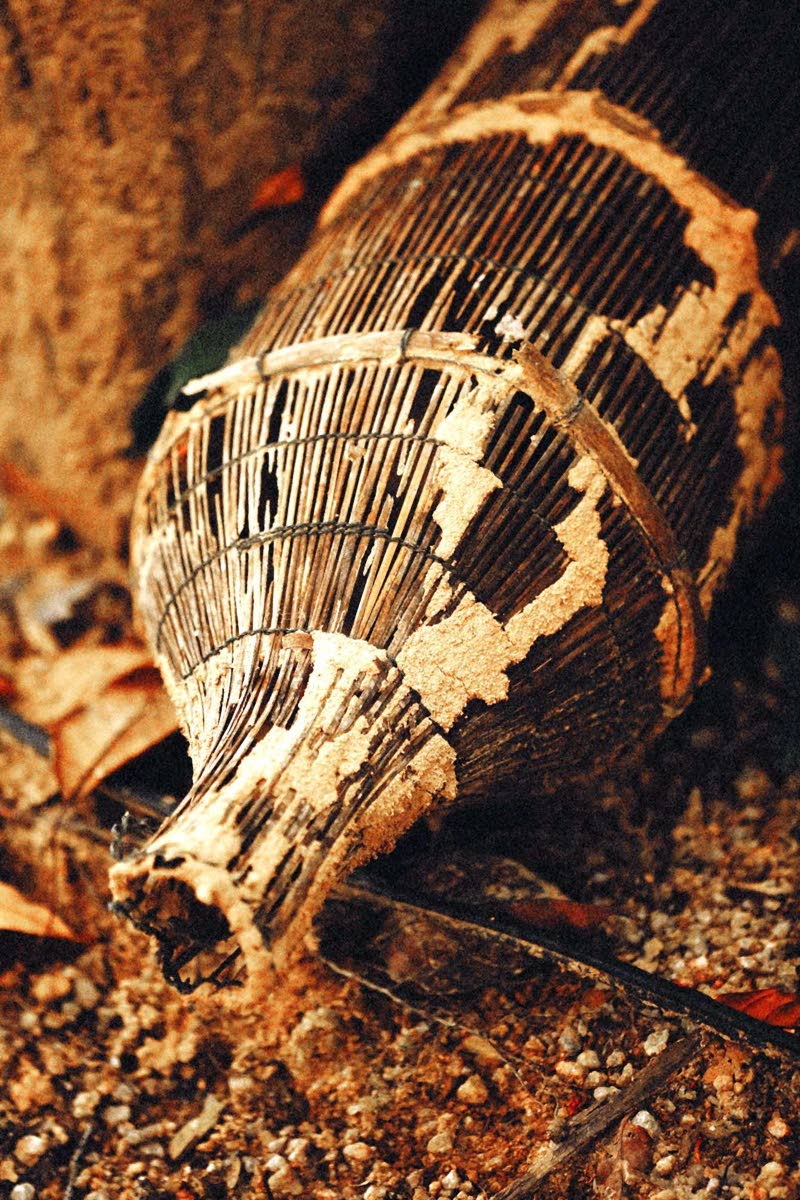 As new wineskins are essential for preserving new wine, so the Church must be continually renewed for the work God calls us to do 