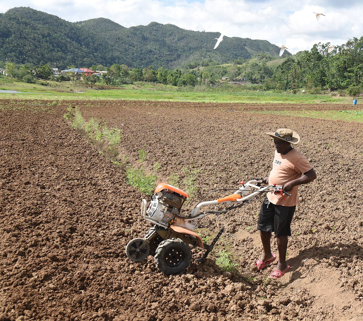 Land is not merely a commodity – it is identity, history, and security.