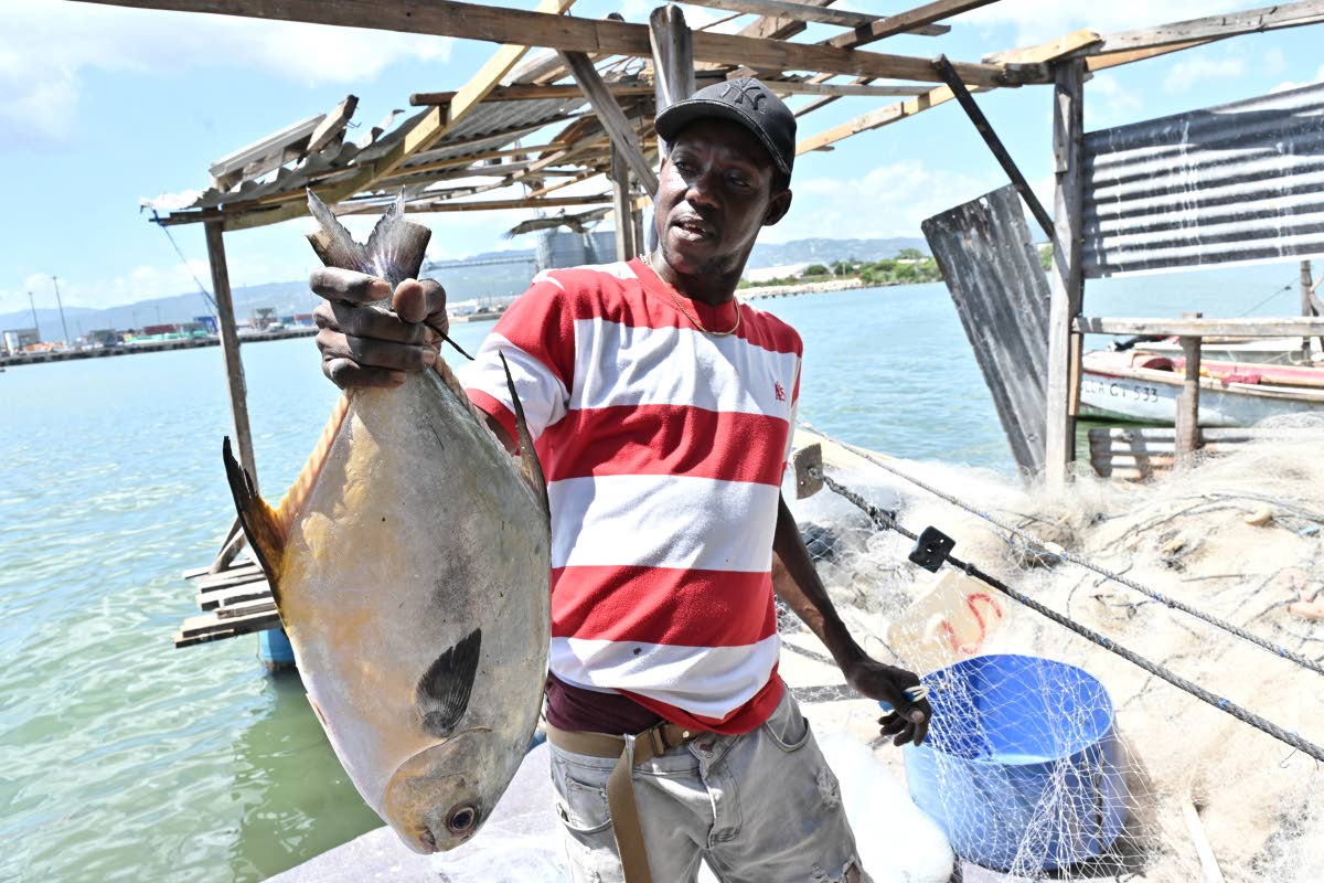 A fisherman of more than 40 years, Kevin Absolom, who fishes around the Kingston Harbour, says he has resorted to making shorter trips.
