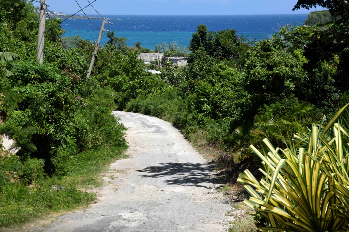 A roadway in the heart of Frontier Phase 2.