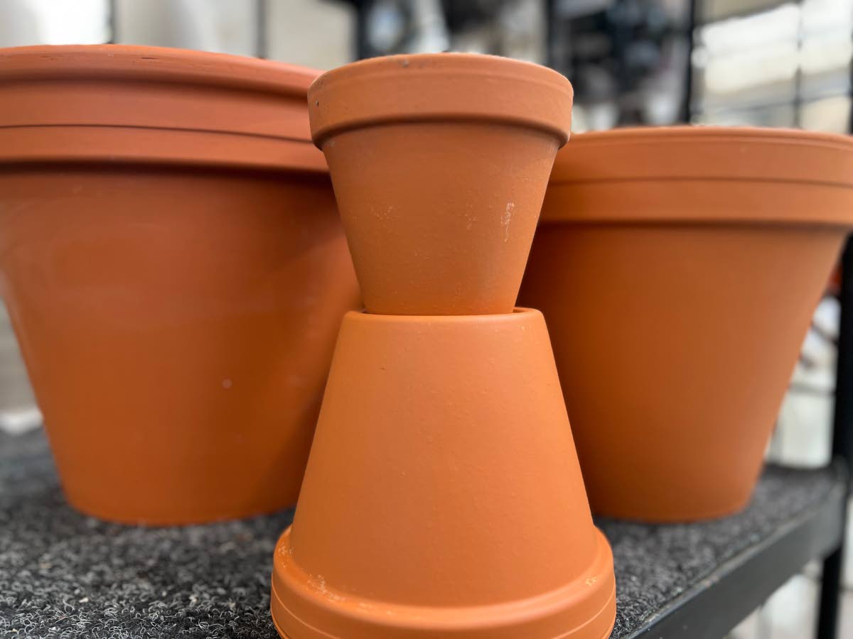 An assortment of plastic-free terracotta planting pots.