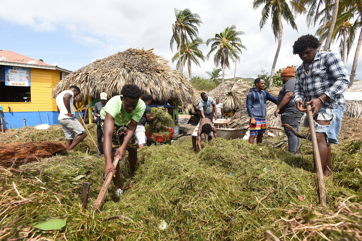 THEN: Volunteers remove metres-high piles of seaweed that washed ashore at the Little Ochie Seafood Restaurant in Alligator Pond, a day after the passage of Hurricane Melissa.