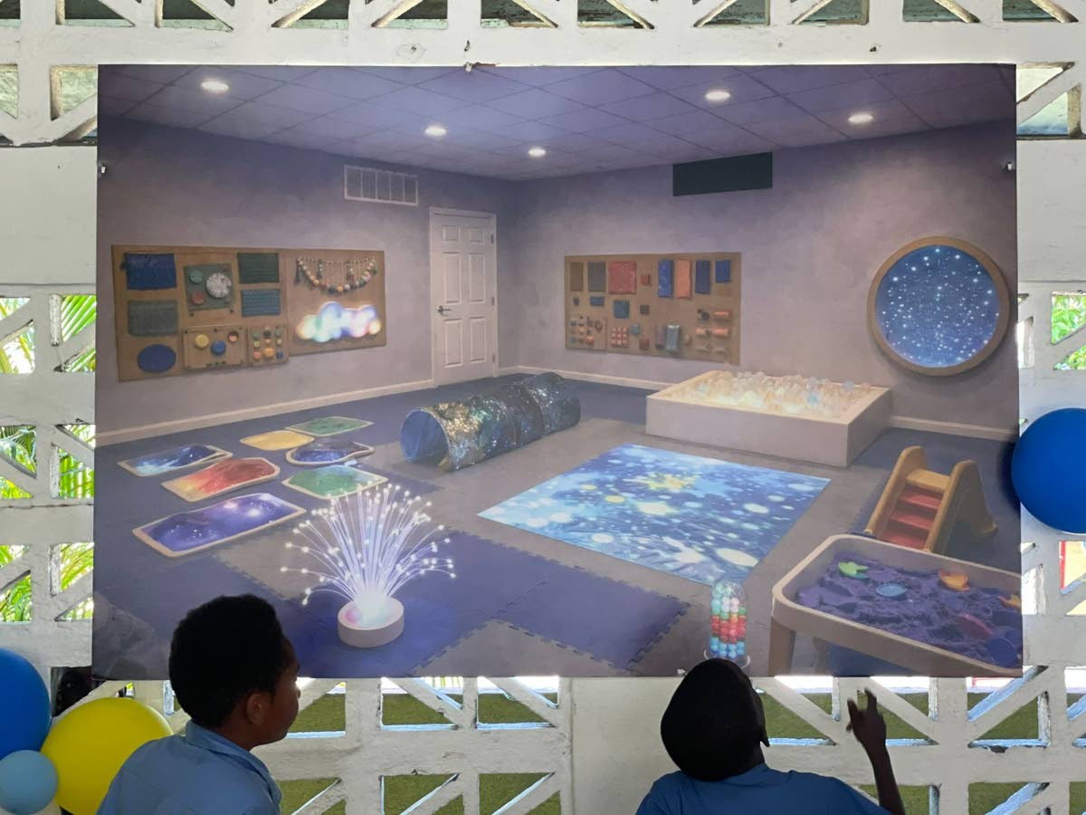 Students of Melrose Primary and Junior High unveil a rendering of the sensory room.