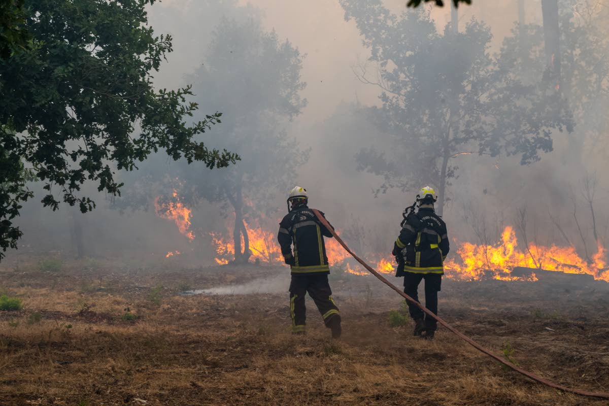 Fiirefighters spray water in a burning forest in the Lège-Cap-Ferret region, western France, Friday, July 24, 2026. (AP Photo/Caroline Blumberg)