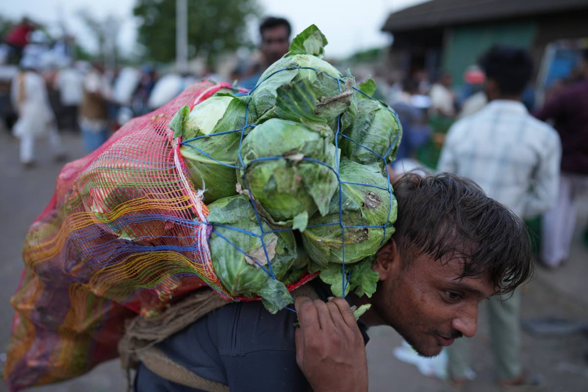 A labourer carries vegetables at a market in the early morning during a heat wave in Banda, northern Indian state of Uttar Pradesh, on Saturday, June 20. 