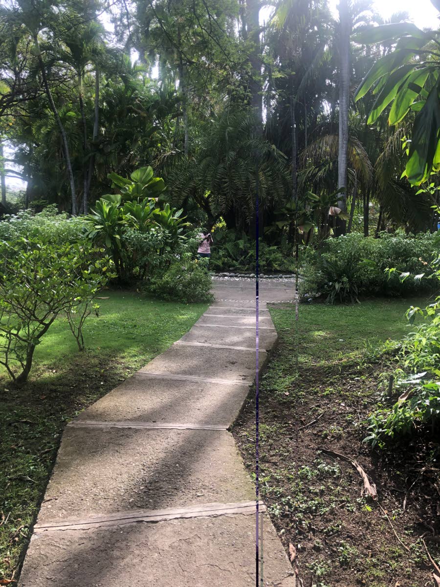 A section of the Hope Botanical Gardens.