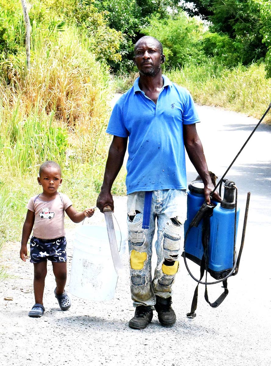 Farmer Simon Anthony Cox walks with his two-year-old son, Simeon Cox.
