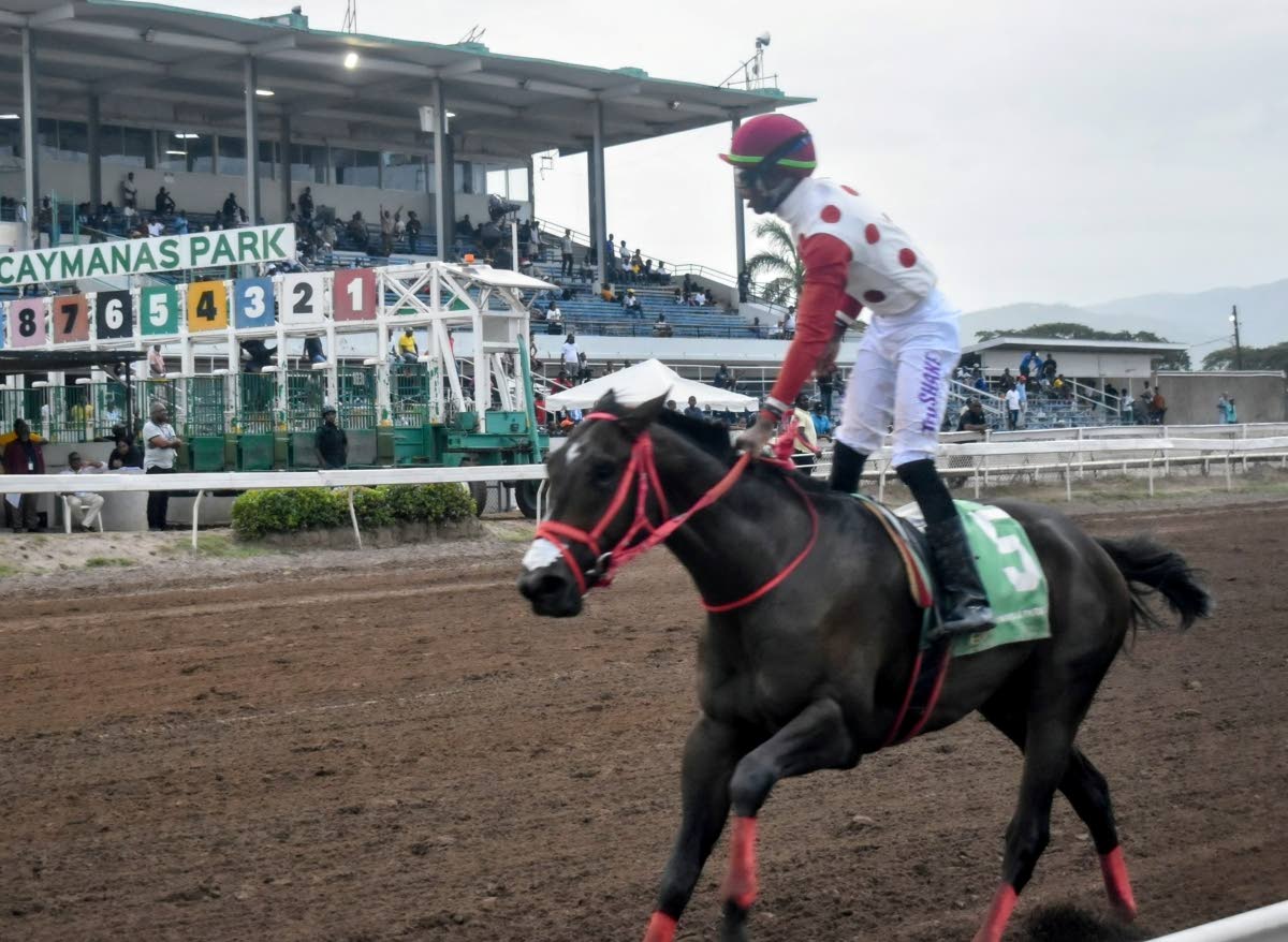 Anthony Minott/Freelance Photographer 
Jockey Tevin Foster stands in the saddle as GIRVANO saunters home to win the Kenneth Mattis O.D. Memorial Cup  over nine furlongs and 25 yards at Caymanas Park yesterday.