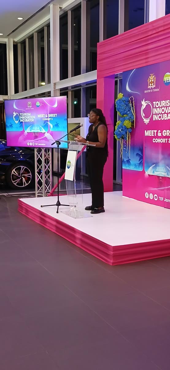 Cohort Two participant Shanya Connell addressing the gathering at the Tourism Enhancement Fund Tourism Innovation Incubator Cohort Three Meet-and Greet on Wednesday, September 2, inside the Audi Showroom, along Oxford Road in St Andrew. 